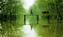 春来乡间美如画