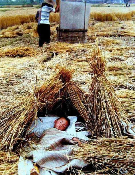 记忆中的乡村童年