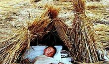 记忆中的乡村童年