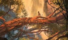 那浓浓的心灵鸡汤