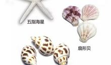 老师请您相信我