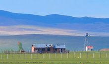 春意盎然的大草原