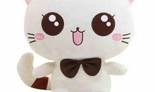 我的玩偶布拉沙