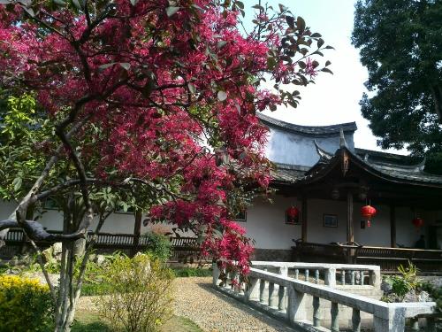 春季旅行
