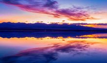 我心中最亮的“星”