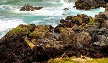 退一步不止海阔天空