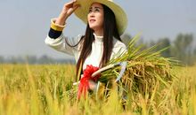 听奶奶讲我的故事