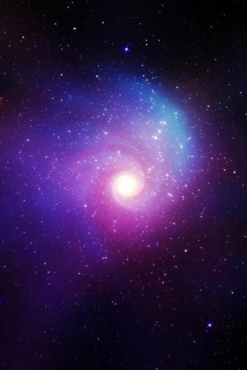 我成为了明星