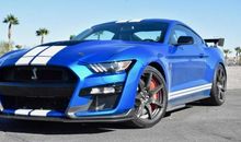 读《野马传奇》有感