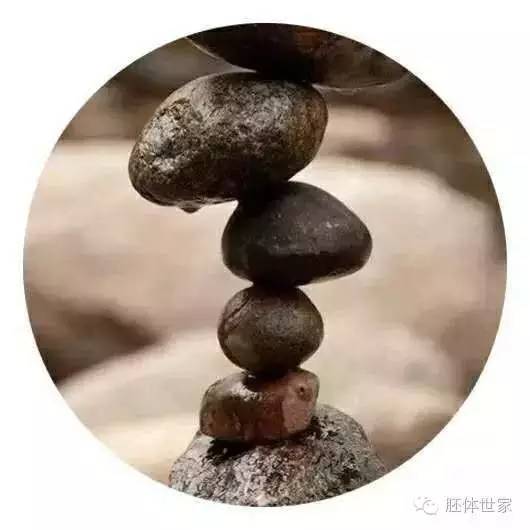 信念是种子