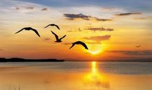 与大海相伴的一天