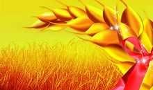 秋日丰收的味道