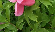 失败是一种美丽