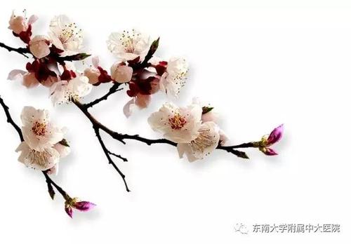 再次清明