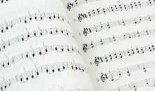 两根弦的小提琴读后感