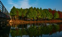 记一个冬日的午后