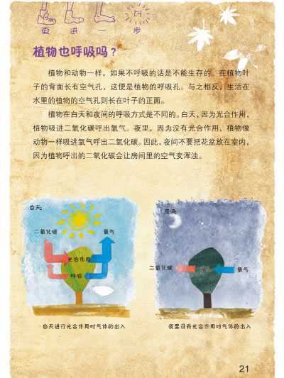我是科学迷