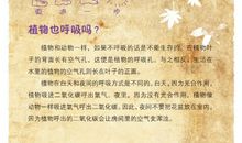 我是一个科学迷