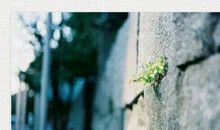 一个让我欣赏的人