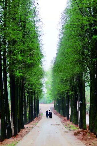 幸福的道路