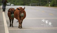 一次有趣的走路