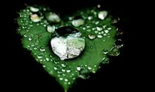 假如我是一滴小水珠