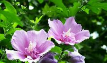 写给天堂的爷爷