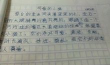 特殊的声音作文500字