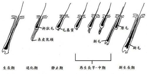 关于绕道的组成