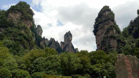 记得森林公园