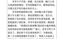 我最熟悉的一个人作文600字