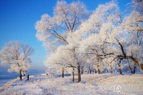 童话世界的雪