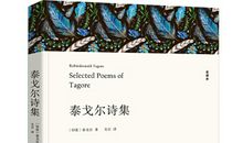 泰戈尔诗集读后感