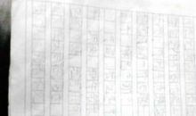 养蚕作文四年级