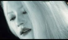 不肯长大的小燕子