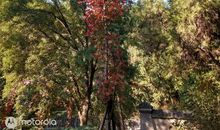 秋日别样的味道