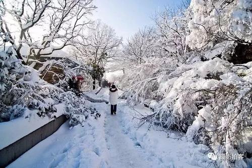 雪后的紫金山