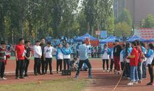 运动会让我明白了