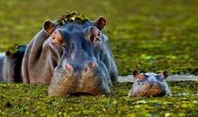 让我温暖的一瞬间