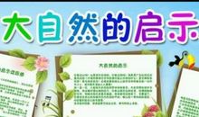 给蜘蛛的一封信