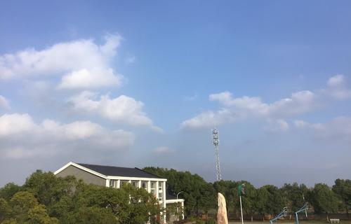 校园的一角是如此美丽
