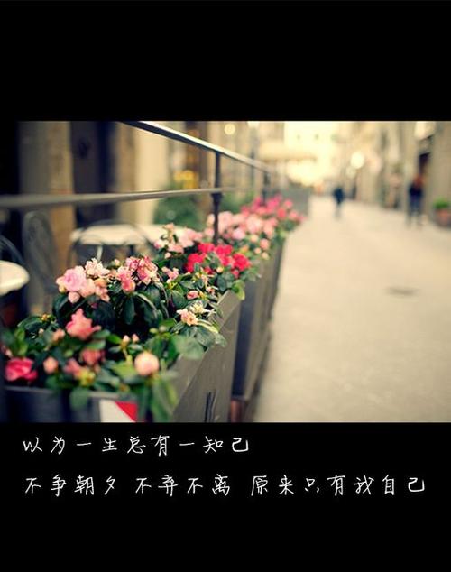 想念味道