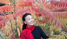 家乡的桥—清源桥