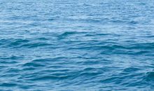 这次，我没有尽力