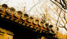 听，记忆中的呼唤声