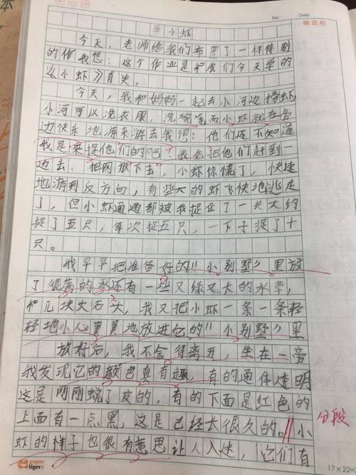 描述小虾的成分