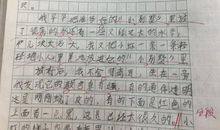 描写小虾的作文