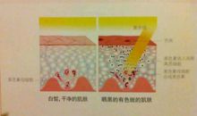 论抉择的重要性