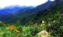 避暑之旅——北京