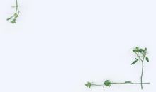 《智子疑邻》改写